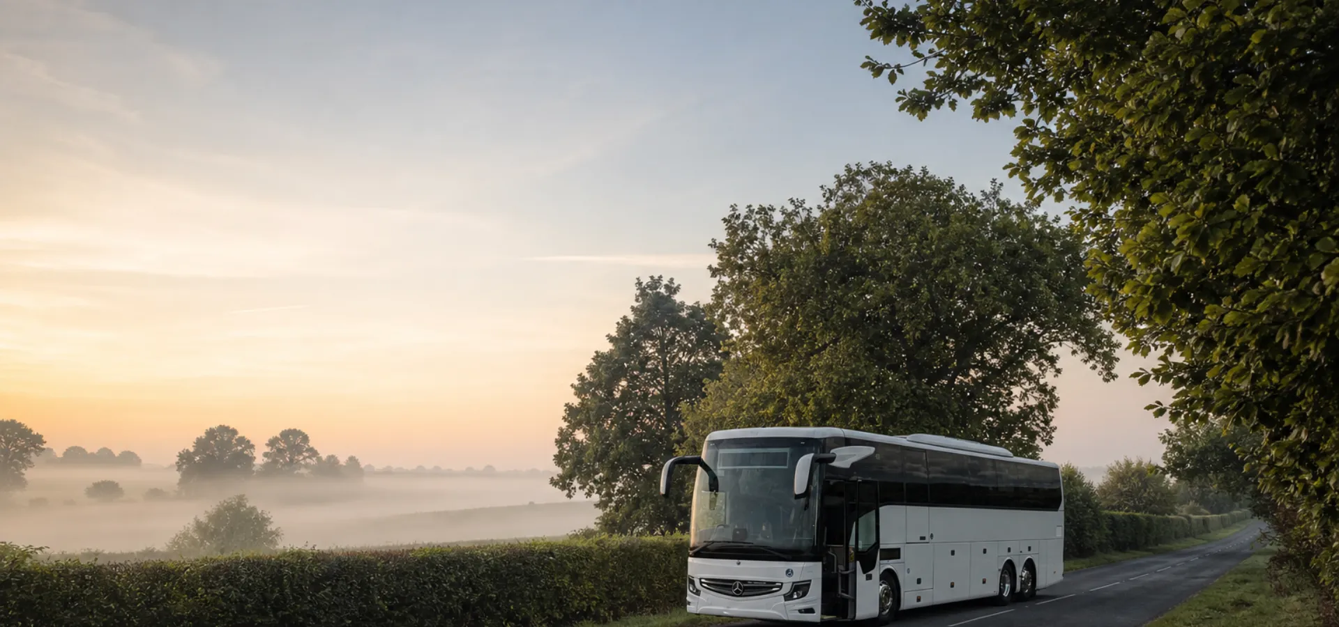 Illustration of a coach on a quiet country road at first light