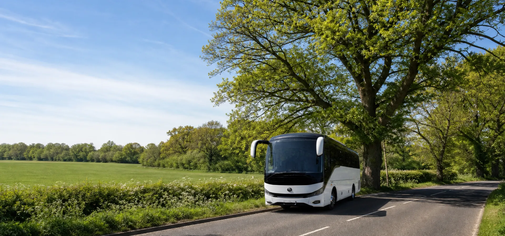 Illustration of a coach on a country road beside a playing field